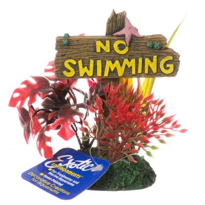 Exotic Environments No Swimming Sign - Small - (3.5\