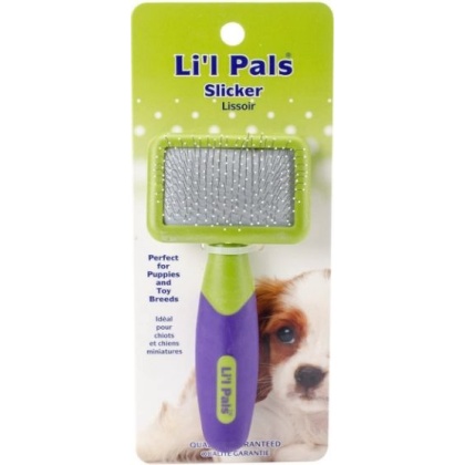 Li\'l Pals Tiny Slicker Brush - Tiny Slicker Brush