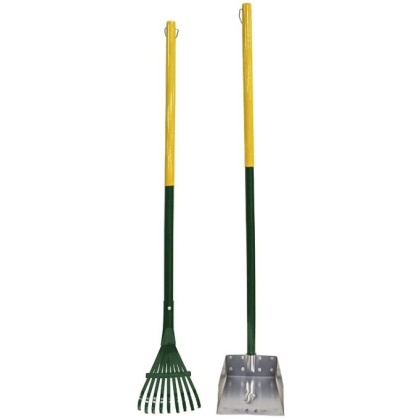 Four Paws Wee-Wee Pan and Rake Set Small  - 1 count
