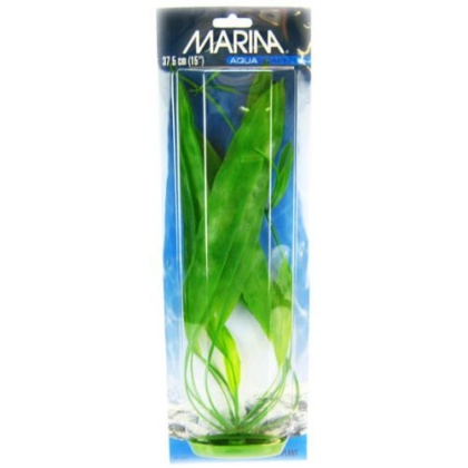Marina Amazon Sword Plant - 15\
