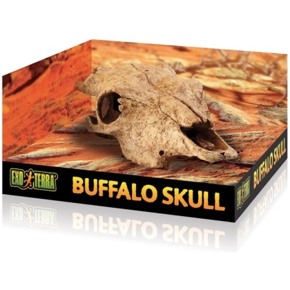 Exo Terra Terrarium Buffalo Skull Decoration - 1 count