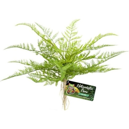 Zoo Med Naturalistic Flora Lace Fern - 1 count