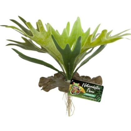Zoo Med Naturalistic Flora Staghorn Fern - 1 count