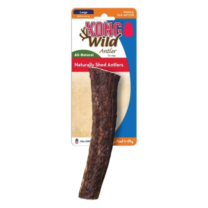 Kong Wild Whole Elk Antler Dog Chew - Large (Dogs 60 lbs and up)