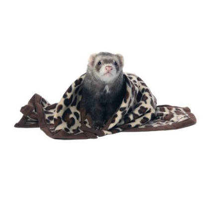 Marshall Designer Fleece Blanket for Small Animals - 1 count
