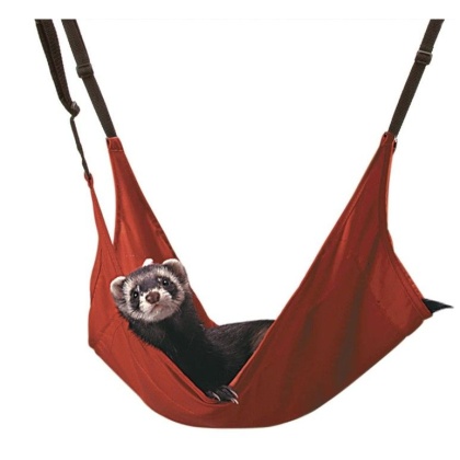 Marshall Leisure Lounge for Small Animals - 1 count
