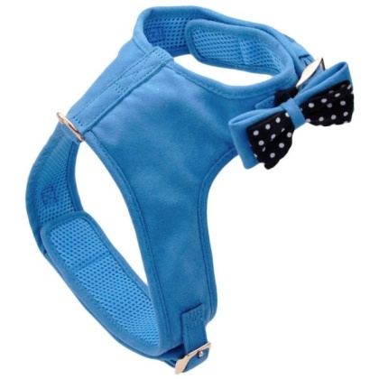 Coastal Pet Accent Microfiber Dog Harness Boho Blue with Polka Dot Bow - X-Small