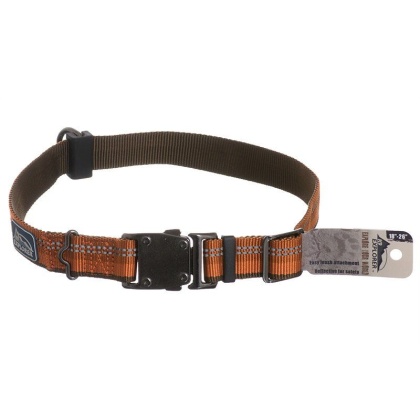 K9 Explorer Reflective Adjustable Dog Collar - Campfire Orange - 26
