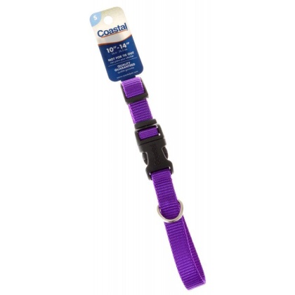Tuff Collar Nylon Adjustable Collar - Purple - 10\