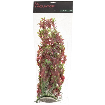 Aquatop Hygro Aquarium Plant - Red & Green - 20