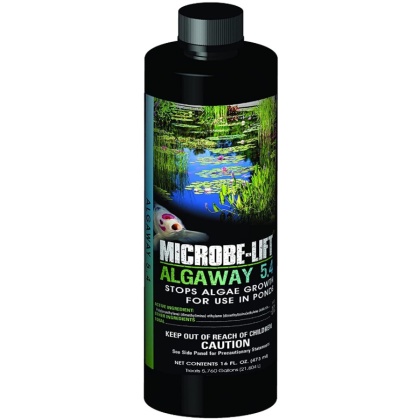 Microbe-Lift Algaway 5.4 for Ponds - 16 oz (Treats 5678 Gallons)