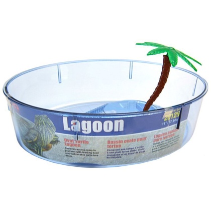 Lees Turtle Lagoon - Assorted Shapes - Oval Shaped - 11\