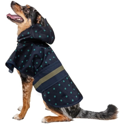 Fashion Pet Polka Dot Dog Raincoat Navy - X-Large