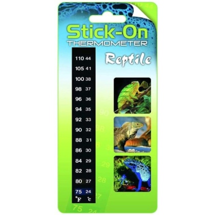 Rio Stick-On Digital Reptile Thermometer - 1 count