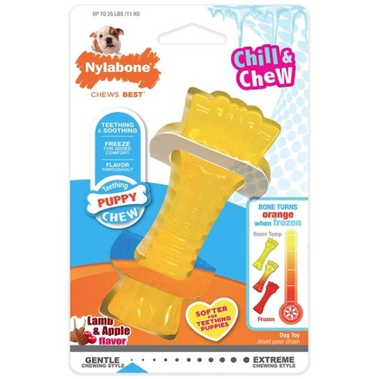 Nylabone Puppy Chew Color Changing Chill N Chew Bone - Mini Souper - 1 count