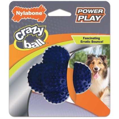 Nylabone Power Play Crazy Ball Dog Toy Large - 1 count