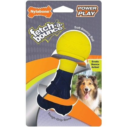 Nylabone Power Play Fetch-a-Bounce Rubber 5\