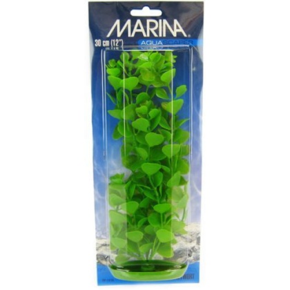 Marina Aquascaper Moneywort Plant - 12\