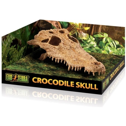 Exo Terra Terrarium Crocodile Skull Decoration - 1 count