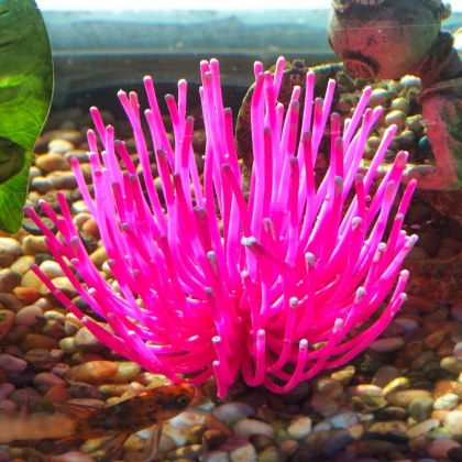 Aquatic Creations Aquarium Decor X-Large Anemone Pink - 1 Count
