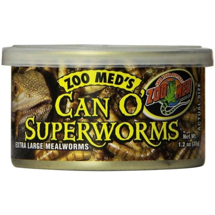Zoo Med Can O Superworms Extra Large Mealworms - 1.2 oz