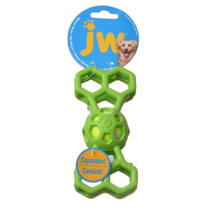 JW Pet Hol-ee Bone with Squeaker - Small - 6.5