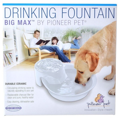Pioneer Big Max Ceramic Drinking Fountain - White - 128 oz