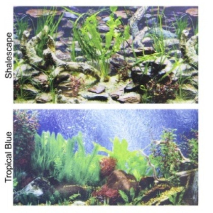 Penn Plax Double-Back Aquarium Background - Tropical Blue / Shalescape - 24
