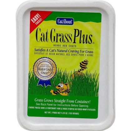 Gimborn Cat-A\'bout Cat Grass Plus Multi-Cat - 1 count